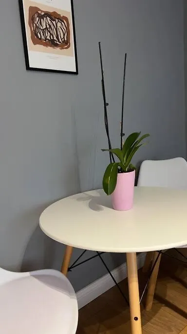 Bee Apartment 3-City Center Retreat Тирана